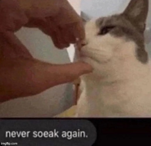 Never soeak again | image tagged in never soeak again | made w/ Imgflip meme maker