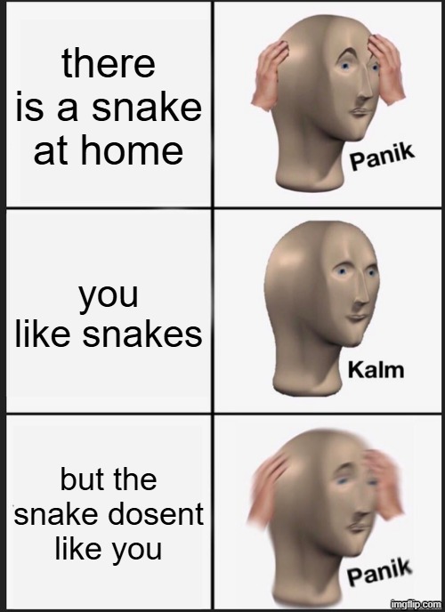 Panik Kalm Panik Meme | there is a snake at home; you like snakes; but the snake dosent like you | image tagged in memes,panik kalm panik | made w/ Imgflip meme maker