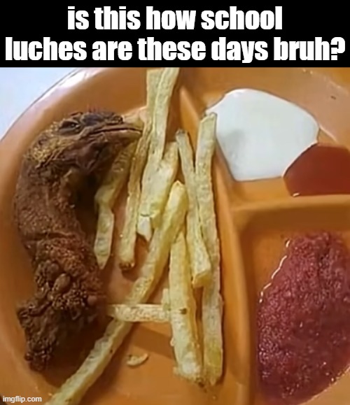 i will rather starve, no thanks | is this how school luches are these days bruh? | image tagged in lunch | made w/ Imgflip meme maker
