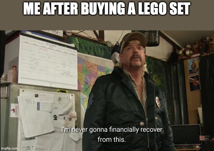 I'm never going to financially recover from this | me after buying a lego set | image tagged in i'm never going to financially recover from this | made w/ Imgflip meme maker