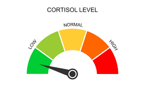 low cortisol level Blank Meme Template