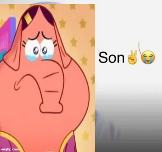 son | image tagged in son | made w/ Imgflip meme maker