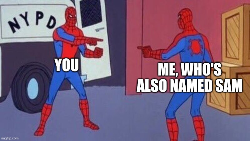 spiderman pointing at spiderman | you me, who's also named Sam | image tagged in spiderman pointing at spiderman | made w/ Imgflip meme maker