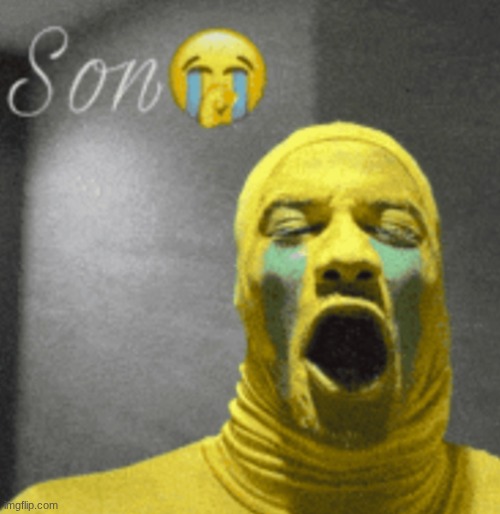 son crying | image tagged in son crying | made w/ Imgflip meme maker