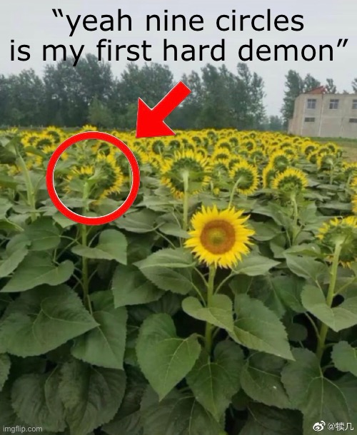 Individuality sunflower | “yeah nine circles is my first hard demon” | image tagged in individuality sunflower | made w/ Imgflip meme maker