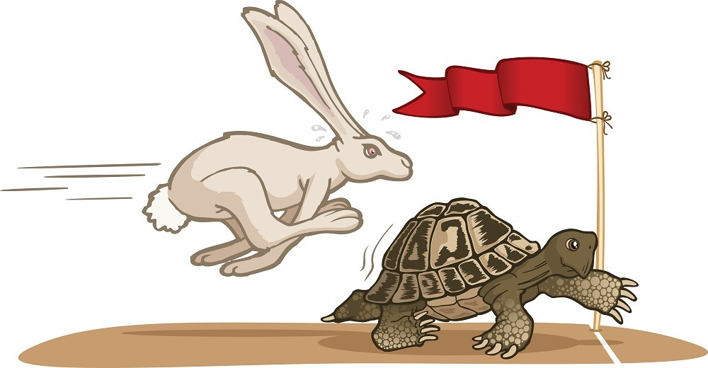 turtle and hare Blank Meme Template