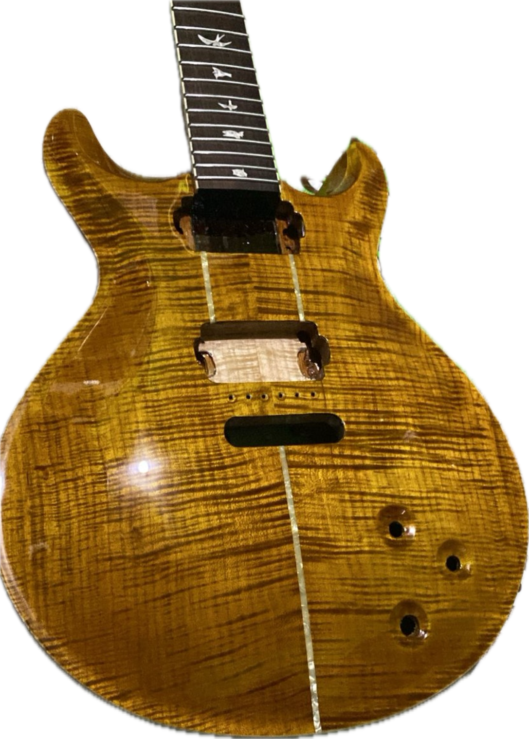 Save Guitarawr Blank Meme Template