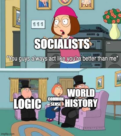 True | Socialists; World
history; common
sense; logic | image tagged in you guys always act like you're better than me,memes,funny,politics,political meme | made w/ Imgflip meme maker