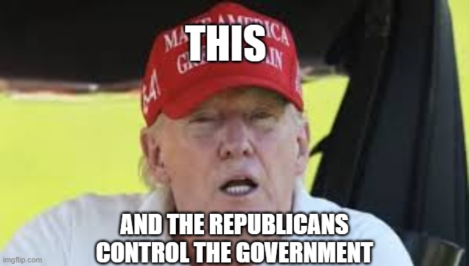 Republicans Control the Government | this; and the republicans
control the government | image tagged in donald trump,republicans,conservatives,america,government | made w/ Imgflip meme maker