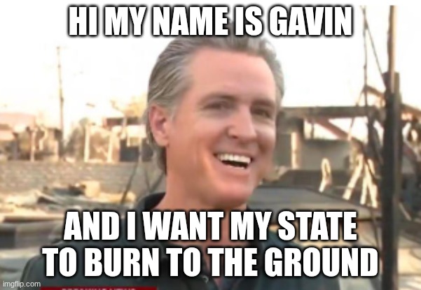 Gavin Newsom | hi my name is gavin; and I want my state to burn to the ground | image tagged in gavin newsom | made w/ Imgflip meme maker