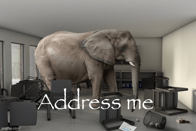 Address Me Elephant HD | image tagged in adress me elephant | made w/ Imgflip meme maker