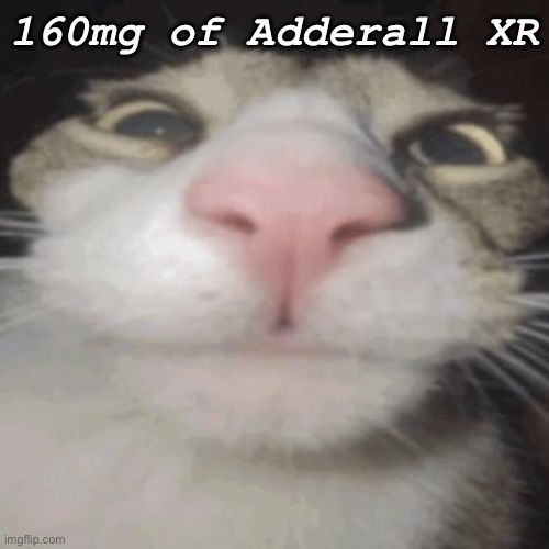 Off the addies | 160mg of Adderall XR | image tagged in drugs,hilarious,cats,adhd | made w/ Imgflip meme maker