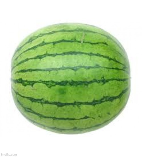 only those with ball knowledge remember | image tagged in watermelon | made w/ Imgflip meme maker