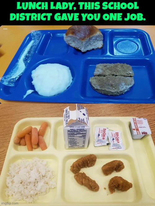 Lunch Lady Job Fail | Lunch lady, this school district gave you one job. | image tagged in you had one job,epic fail,school meme,school lunch,do you are have stupid,nasty food | made w/ Imgflip meme maker