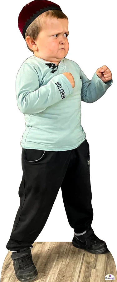 Hadbulla fighting Blank Meme Template