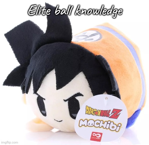 Radium would smash this | Elite ball knowledge | image tagged in radium would smash this | made w/ Imgflip meme maker