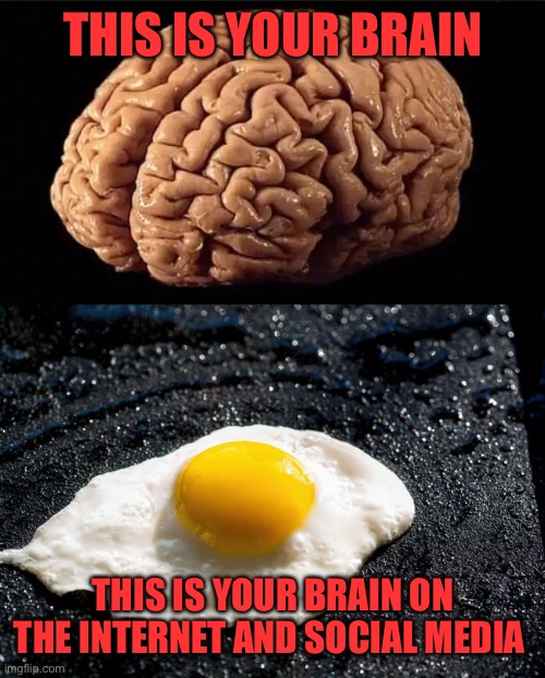 It’s killing us, man | This is your brain; This is your brain on the internet and social media | image tagged in this is your brain | made w/ Imgflip meme maker