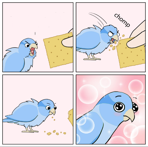 Bird Cracker Meme Generator (friendly) Blank Meme Template