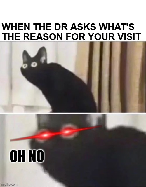 Oh No Black Cat | when the dr asks what's the reason for your visit; oh no | image tagged in oh no black cat | made w/ Imgflip meme maker