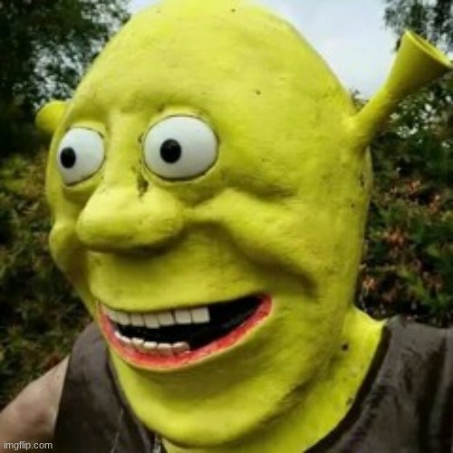 oger | image tagged in i spelled it wrong on purpose | made w/ Imgflip meme maker
