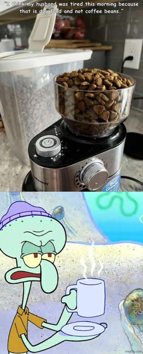 Dog food | image tagged in grumpy squidward,dog food,coffee,coffee beans,you had one job,memes | made w/ Imgflip meme maker