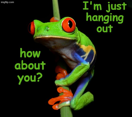 frogs are cute, and amazing | I'm just
hanging
out; how
about
you? | image tagged in curious tree frog,hanging out | made w/ Imgflip meme maker