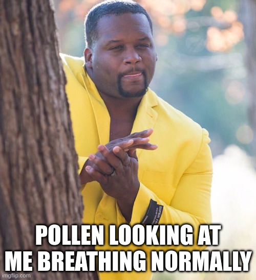 tree pollen | pollen looking at me breathing normally | image tagged in black guy hiding behind tree | made w/ Imgflip meme maker