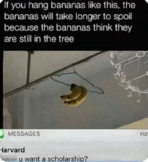 image tagged in smort,smart | made w/ Imgflip meme maker