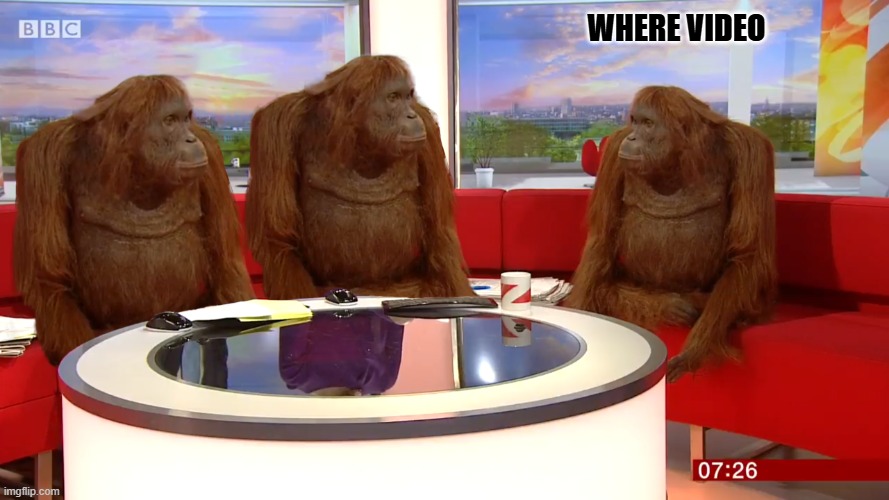 where video monkeys | where video | image tagged in where video monkeys | made w/ Imgflip meme maker