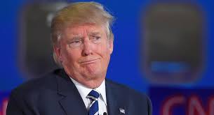 dumbass remarks felon47 makes Blank Meme Template