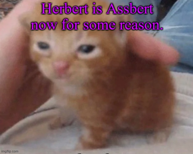 Herbert | Herbert is Assbert now for some reason. | image tagged in herbert | made w/ Imgflip meme maker