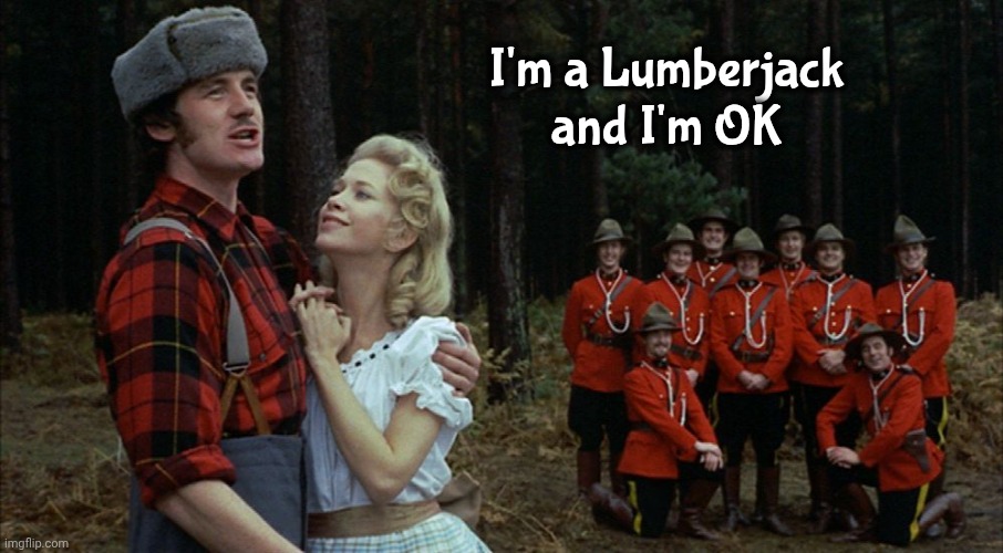 monty python lumberjack | I'm a Lumberjack and I'm OK | image tagged in monty python lumberjack | made w/ Imgflip meme maker