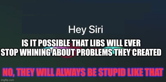 Hey Siri! | Is it possible that libs will ever stop whining about problems they created No, they will always be stupid like that | image tagged in hey siri | made w/ Imgflip meme maker