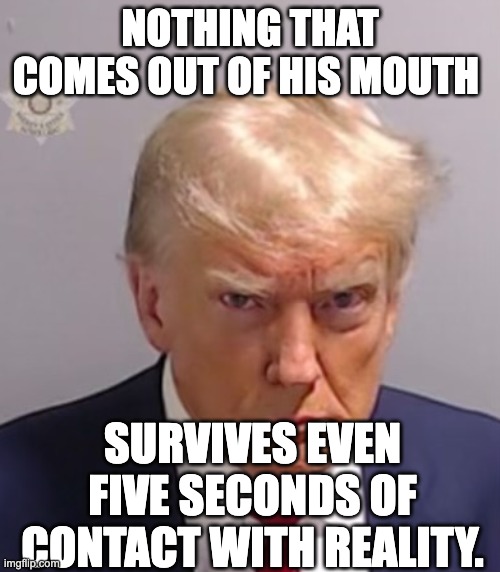 Trump pathological lier | Nothing that comes out of his mouth; survives even five seconds of contact with reality. | image tagged in donald trump mugshot,republicans,pathological lier,maga,right wing,conservatives | made w/ Imgflip meme maker