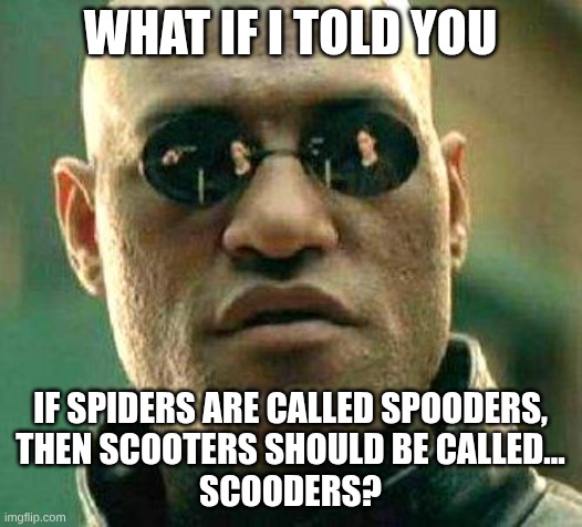 They should bruhv | WHAT IF I TOLD YOU; IF SPIDERS ARE CALLED SPOODERS,
THEN SCOOTERS SHOULD BE CALLED...
SCOODERS? | image tagged in what if i told you,spooders,spiders,scooters | made w/ Imgflip meme maker