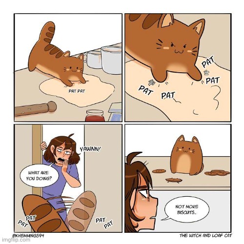 Biscuits | image tagged in biscuits,biscuit,cats,cat,comics,comics/cartoons | made w/ Imgflip meme maker