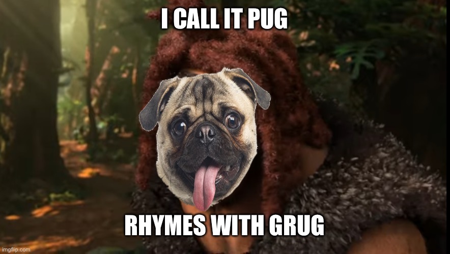 Pug | I call it pug; Rhymes with grug | image tagged in rhymes with grug | made w/ Imgflip meme maker
