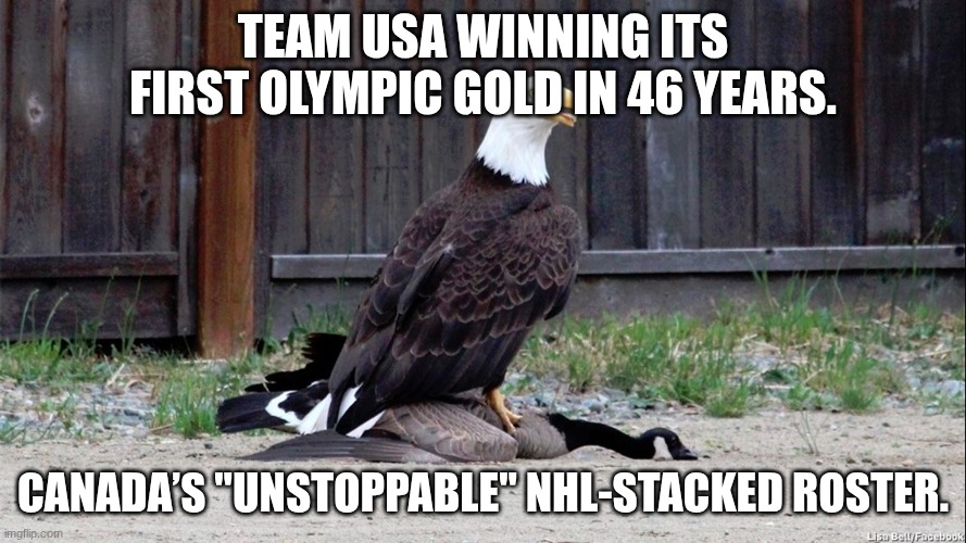 eagle on goose | Team USA winning its first Olympic gold in 46 years. Canada’s "unstoppable" NHL-stacked roster. | image tagged in eagle on goose,ice hockey,olympics,not a repost | made w/ Imgflip meme maker
