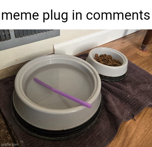 Go upvote em | meme plug in comments | image tagged in dog water,straw,meme plug,plug,memes,upvotes | made w/ Imgflip meme maker
