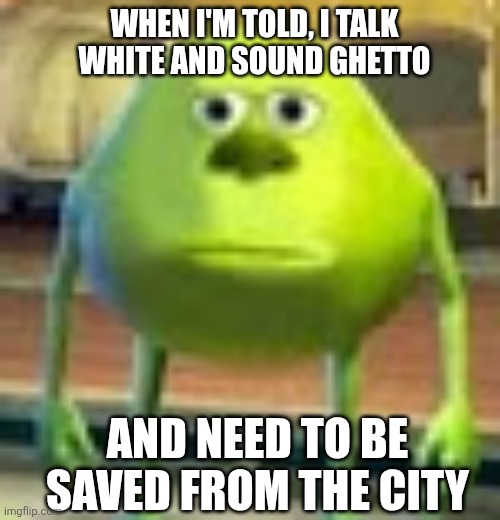I talk white and sound ghetto meme | When I'm told, I talk white and sound ghetto; And need to be saved from the city | image tagged in sully wazowski,black privilege meme | made w/ Imgflip meme maker