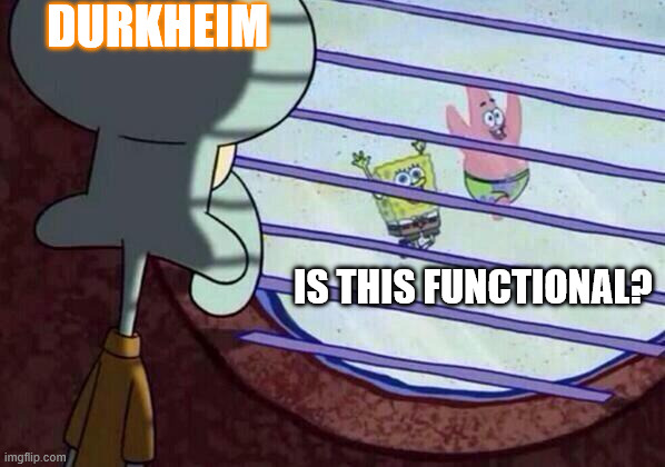 Squidward window | Durkheim; Is this Functional? | image tagged in squidward window | made w/ Imgflip meme maker