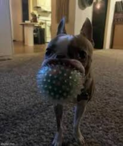 reminder that there are still people making perfectly cut scream compilations in 2026 | made w/ Imgflip meme maker