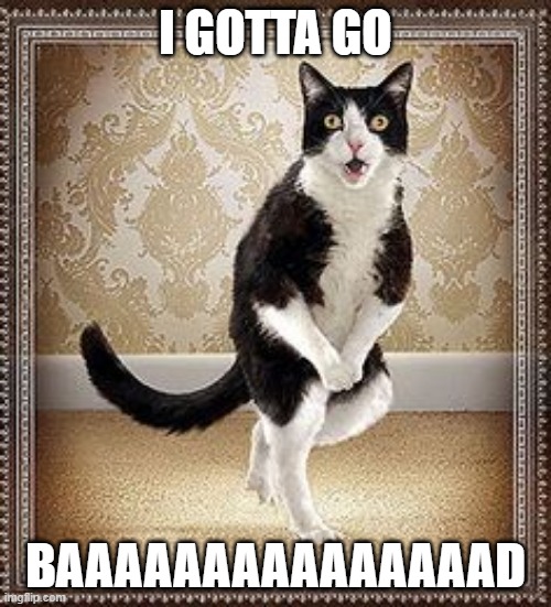 cat pee pee dance | I GOTTA GO; BAAAAAAAAAAAAAAAD | image tagged in cat pee pee dance | made w/ Imgflip meme maker