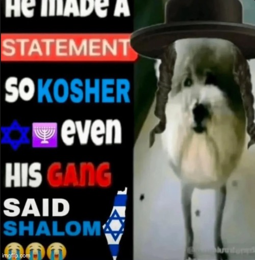 he made a statement so kosher even his gang said shalom | image tagged in he made a statement so kosher even his gang said shalom | made w/ Imgflip meme maker