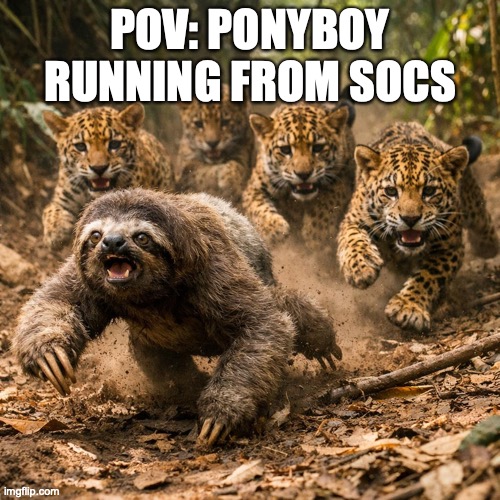 Sloth running from Jaguars | Pov: Ponyboy running from Socs | image tagged in 1 | made w/ Imgflip meme maker
