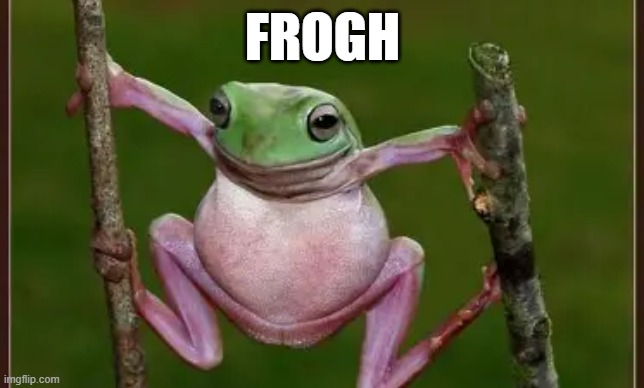 frogh | frogh | image tagged in frog | made w/ Imgflip meme maker
