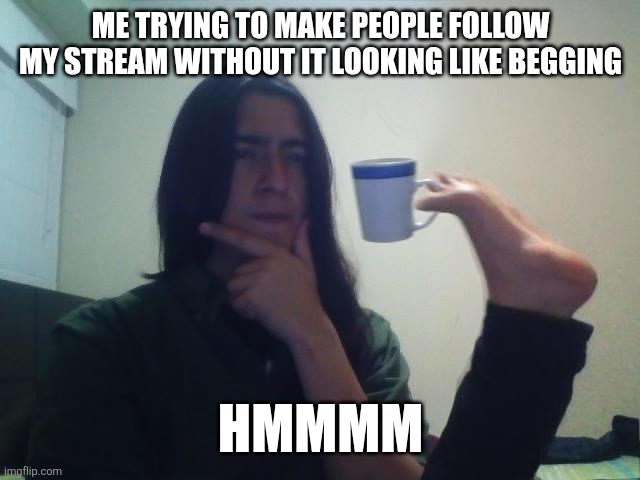 Hmmmm | Me trying to make people follow my stream without it looking like begging; HMMMM | image tagged in hmmmm | made w/ Imgflip meme maker