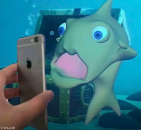 They took everything | image tagged in they took everything | made w/ Imgflip meme maker