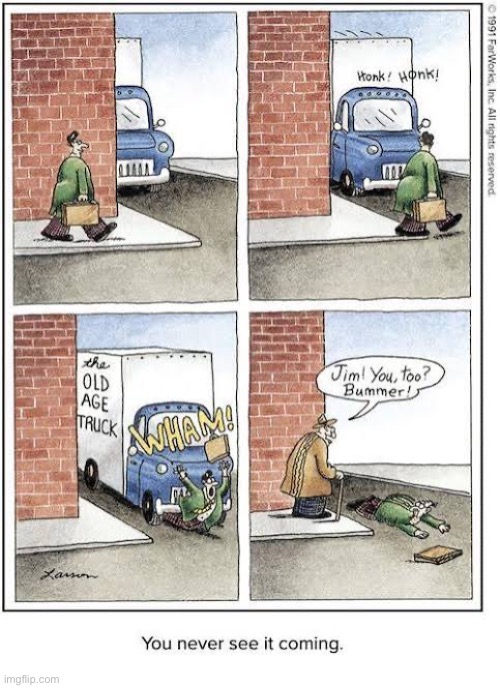 That’s a prolific “hit and run” truck | image tagged in the far side,comics,truck,old age,you too,bummer | made w/ Imgflip meme maker