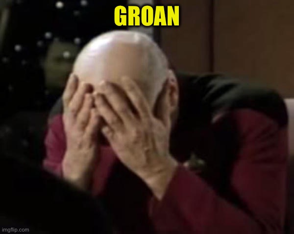 Captain Picard Double Facepalm | Groan | image tagged in captain picard double facepalm | made w/ Imgflip meme maker